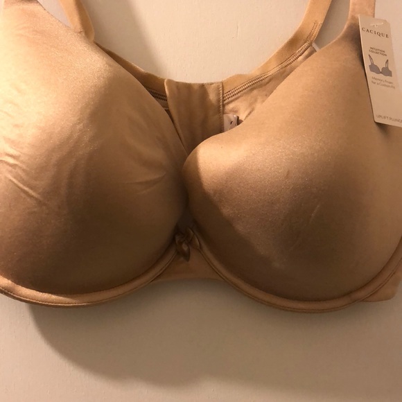Bra - Picture 2 of 2